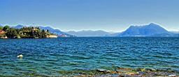 2014-09-238467.JPG
