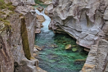 2014-09-248538.jpg