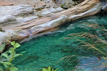 2014-09-248565.JPG