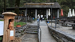 2014-09-248621.JPG