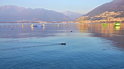 2014-09-258653.JPG