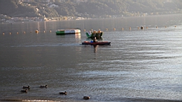 2014-09-258679.JPG