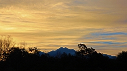 2014-09-268704.JPG