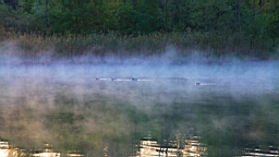 2014-09-268710.JPG