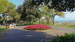 2014-09-278767.JPG