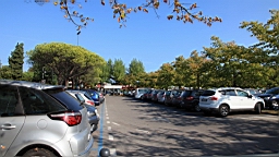 2014-09-278770.JPG