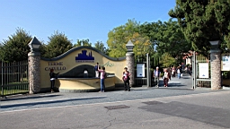 2014-09-278780.JPG