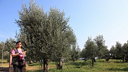 2014-09-278782.JPG