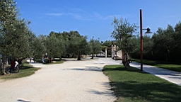 2014-09-278786.JPG
