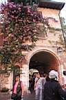 2014-09-278787.JPG