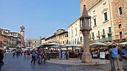 2014-09-278803.JPG