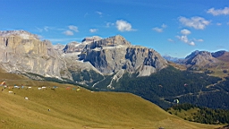 20140928_143007_6_bestshot.jpg