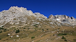 2014-09-298890.JPG