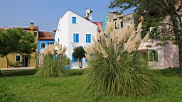 2014-09-308966.JPG