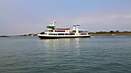 2014-09-308985.JPG