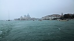2014-10-019095.JPG