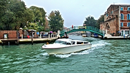 2014-10-019125.JPG