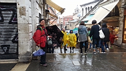 20141001_143537_2_bestshot.jpg