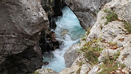 2014-10-029181.JPG