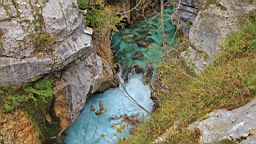 2014-10-029182.JPG