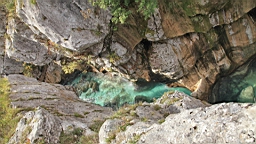 2014-10-029185.JPG