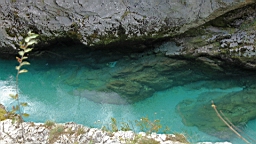 2014-10-029201.JPG