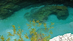 2014-10-029202.JPG