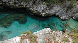2014-10-029203.JPG