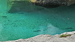 2014-10-029206.JPG