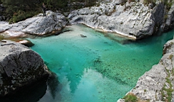 2014-10-029209.JPG