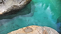 2014-10-029216.JPG