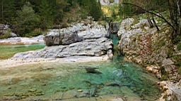 2014-10-029222.JPG