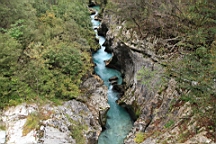 2014-10-029223.JPG