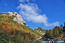 2014-10-039260.JPG