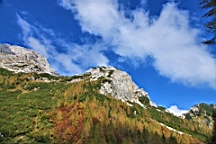 2014-10-039273.JPG