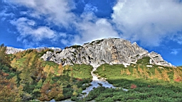 2014-10-039276.JPG