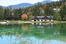 2014-10-039311.JPG