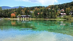 2014-10-039313.JPG