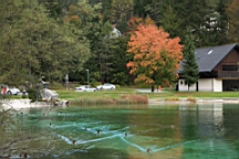 2014-10-039316.JPG