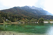 2014-10-039320.JPG