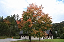 2014-10-039323.JPG