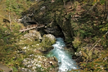 2014-10-039330.JPG