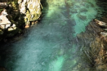 2014-10-039333.JPG