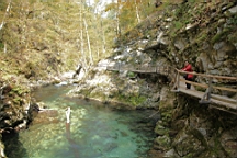 2014-10-039334.JPG