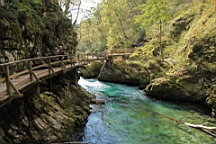 2014-10-039336.JPG