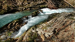 2014-10-039338.JPG