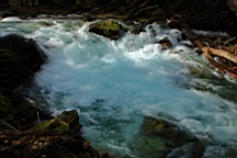 2014-10-039343.JPG