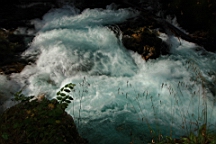 2014-10-039352.JPG