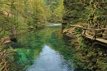 2014-10-039361.JPG