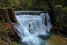 2014-10-039388.JPG